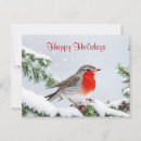 Search for robins horizontal postcards Elegant