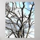 Search for cold season posters Frost