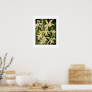 Recherche de orchidée blanche posters Floral