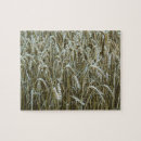 Search for cereal puzzles Agriculture