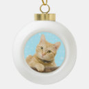 Search for ginger cat ornaments Cute