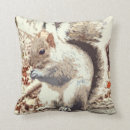 Recherche de écureuils gris coussins Mignon