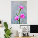 Search for carnation posters Home