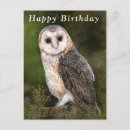 Recherche de anniversaire de hibou Forêt