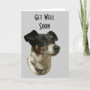 Recherche de puits bientôt Chien