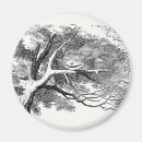 Search for carroll magnets Illustration