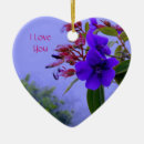 Search for hibiscus ornaments Hawaii