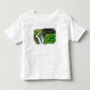 Search for olympic national park tshirts Rainforest