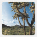 Search for heat stickers Outdoors