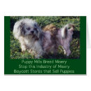Search for puppymill Puppy mills
