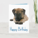 Search for great dane birthday cards Puppy