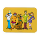 Search for character rectangular magnets Shaggy