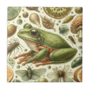 Search for frog tiles Swamp
