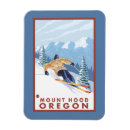 Recherche de skieur magnets États