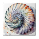 Recherche de nautilus carreaux Mer