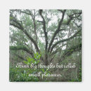 Recherche de arbre paix magnets Arbres
