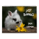 Search for bunny calendars Photography