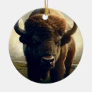 Search for bison ornaments Nature