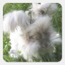 Recherche de rabbit autocollants Mignon