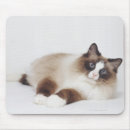 Search for reclining Cute