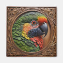 Search for lorikeets magnets Rainbow