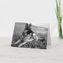 Recherche de german shepherd cards Puppies