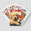 Search for golden retriever playing cards Puppy