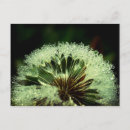 Recherche de gouttelette cartes postales Macro