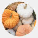 Recherche de gourde autocollants Automne