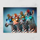 Search for cute zebra postcards Animals