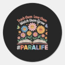 Search for paraprofessional stickers America great again