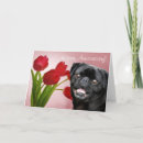 Search for puggle cards Pet