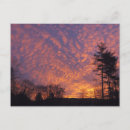 Search for sky light postcards Silhouette