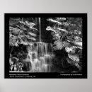 Recherche de forêt tropicale art Noir