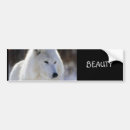 Search for arctic bumper stickers Snow