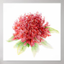 Recherche de copies d de botanique posters Vert