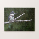Recherche de martin pêcheur puzzles Animal