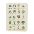 Recherche de plantes vertes magnets Moderne
