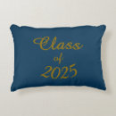 Search for class of pillows Blue