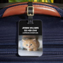 Search for cutest accessories Cat