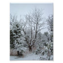 Search for blizzards posters White