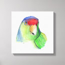 Search for parakeet canvas prints Nature