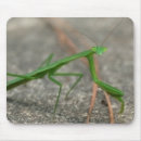 Search for mantis mousepads Macro