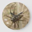 Search for creepy spider clocks Spiders
