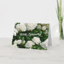 Search for white roses sympathy cards Funeral