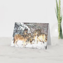 Recherche de wolf birthday cards Gris