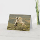 Recherche de carbone vœux cartes Cheval
