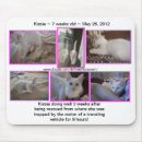 Search for doing mousepads Cat