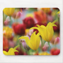 Search for colours of spring mousepads Yellow flowers