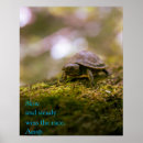 Search for cute turtle art Nature